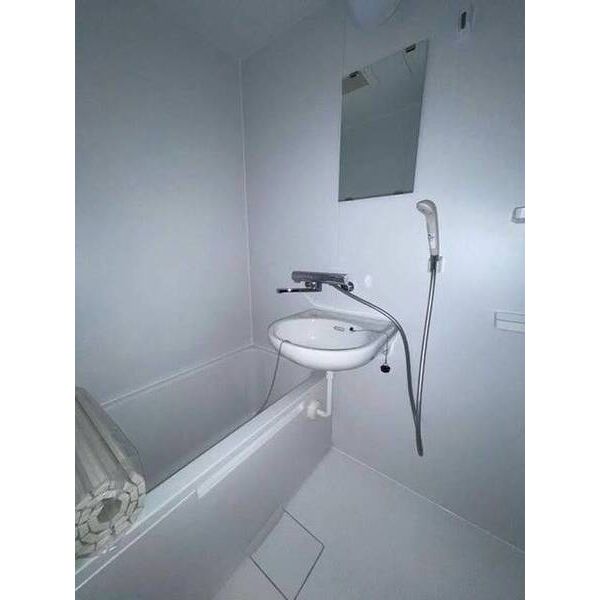 チェリーハイツ0305号室 洗面