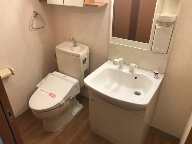 ヒーリングカーサⅡ 洗面