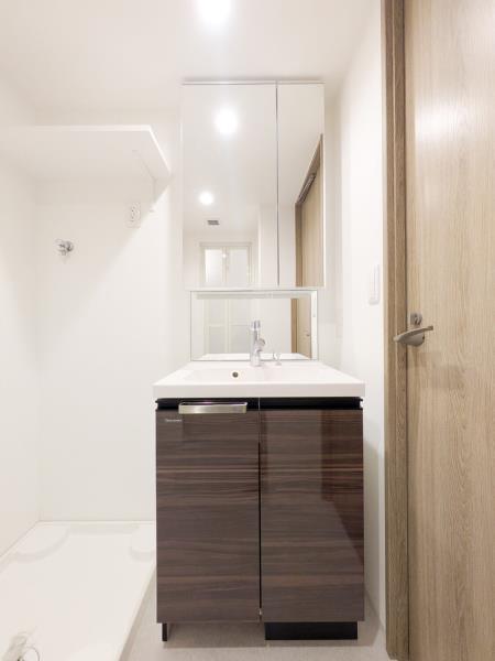 プラティーク清澄庭園4階 洗面