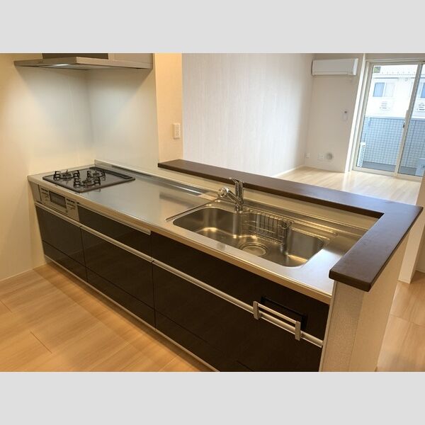 ロイジェントパークス レイクタウン Ⅱ　B303号室 システムキッチン