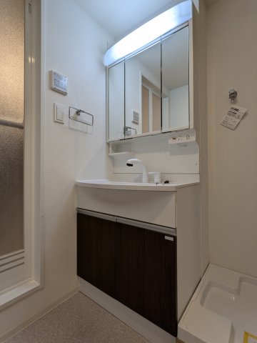 エルファーロ大岡山Ⅱ0203号室 洗面