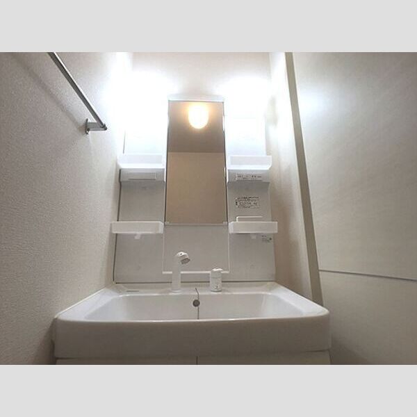 タウンハウス　ロエアス　E031号室 洗髪洗面化粧台
