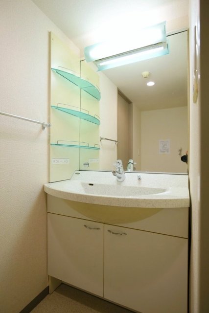 ロアール早稲田 洗面