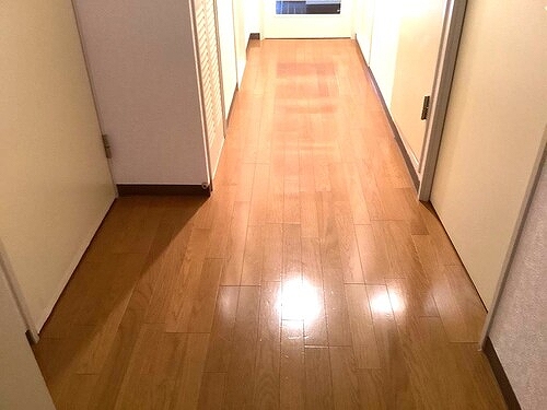 ライオンズマンションかしわ台2階 室内廊下