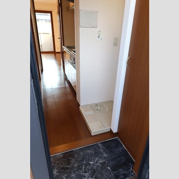 ウイステリア 玄関