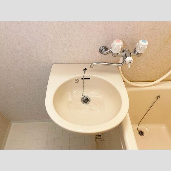 S-FORT八王子205号室 洗面