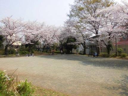 ファインシティ王子神谷リバー＆フォレスト15階 【公園】新田緑道まで509ｍ