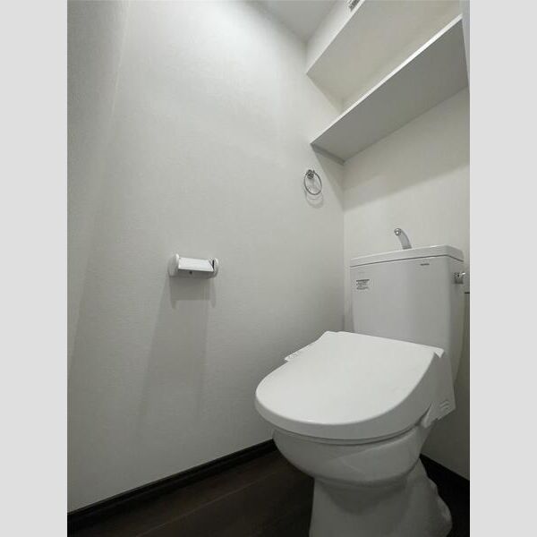 リーブルファイン大袋駅前401号室 トイレ