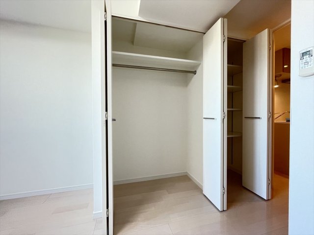 DIPS神楽坂905号室 収納