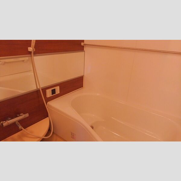 ルミエール ド エスポワール　Ⅱ201号室 お風呂