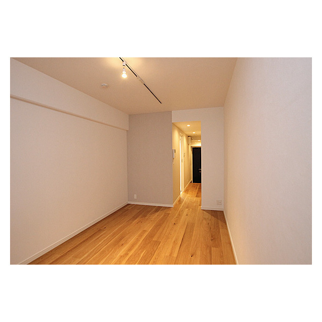 ブルーノコート蒲田0402号室 アクセントクロス