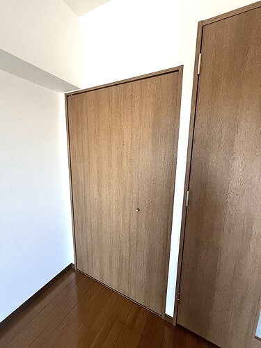 メインステージ巣鴨 クロゼット扉　※前回募集時2024年12月撮影