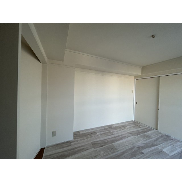 テラスガイア401号室 内観