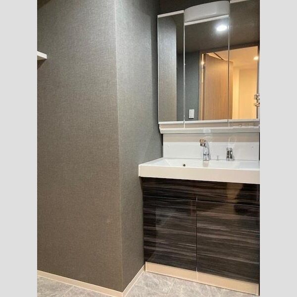 S-RESIDENCE綾瀬rivie 洗面