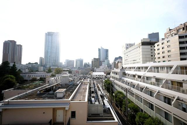 六本木デュープレックスエムズ6階 その他