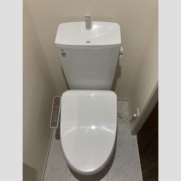 リーブルファイン若葉桜木102号室 トイレ