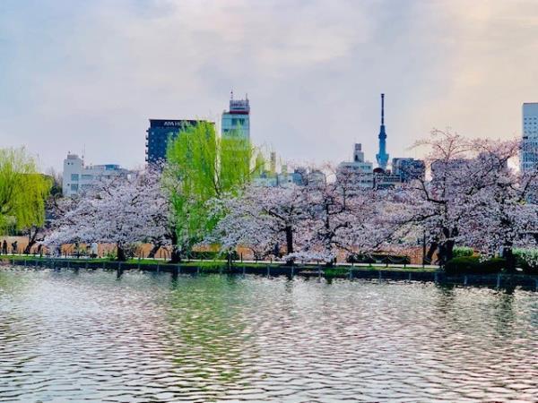 ＢｒｉｌｌｉａＴｏｗｅｒ上野池之端8階 部屋その他