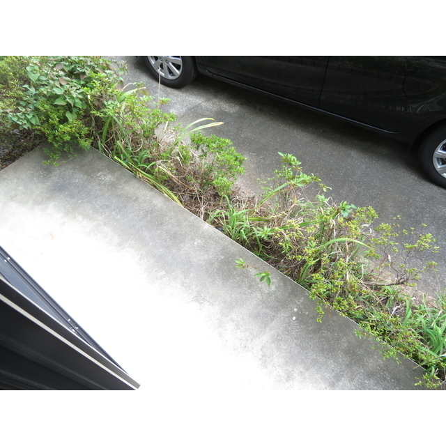 エステートロイヤル８号棟0103号室 テラス