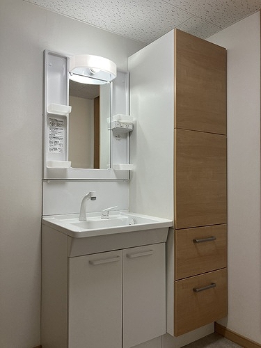 メガロン御殿山 洗面