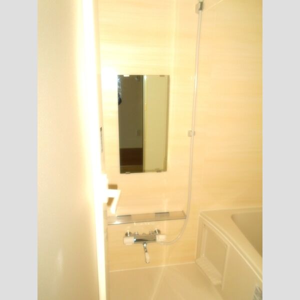 LA・FELICE211号室 浴室