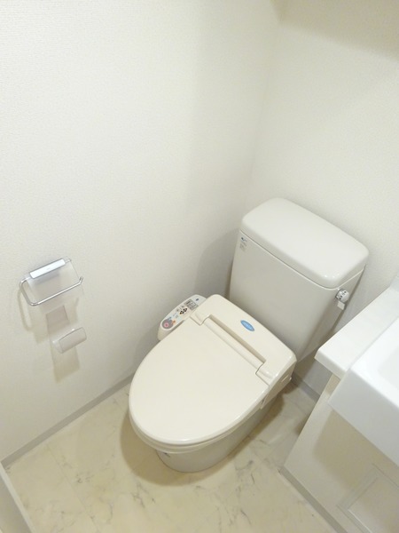 ステージグランデ田園調布アジールコート111号室 トイレ