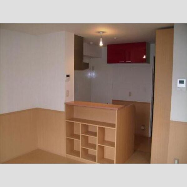 レセンテ・ジュン205号室 対面カウンター収納