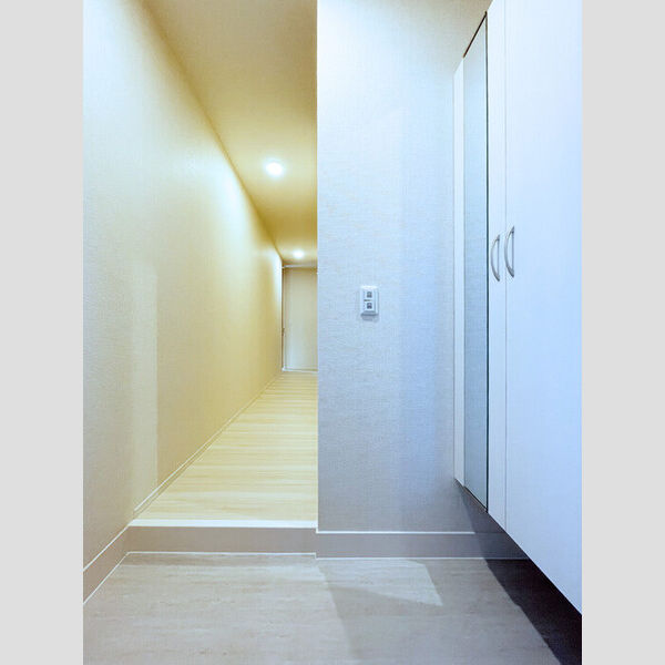 ミッドタウンおゆみ野103号室 玄関