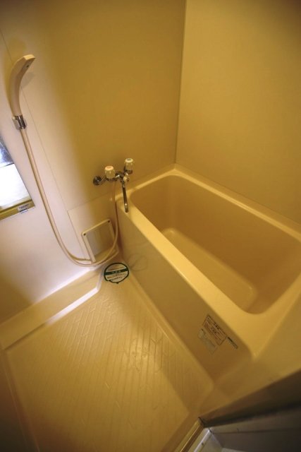 メゾン・ド・ヴィレ高輪 お風呂