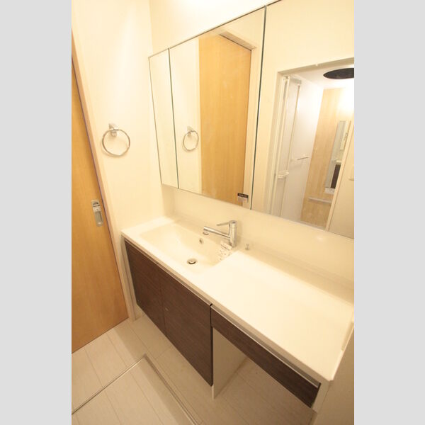 フェリシア 101号室　洗面所