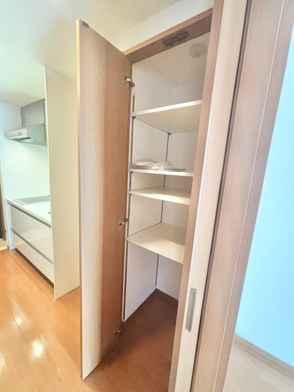 日神デュオステージ池上2階 部屋その他