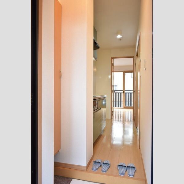 リビングタウン三橋101号室 玄関