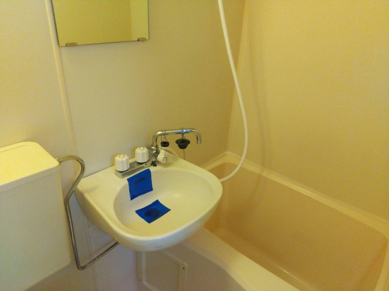 スカイコート生田 洗面