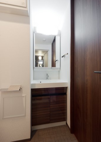 DIPS大山東町502号室 洗面