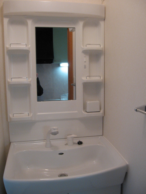 Ｍａｉｓｏｎ　Ｄｅ　Ｒｅｖｅ0202号室 洗面