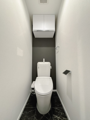 スカイルーチェ南浦和401号室 トイレ