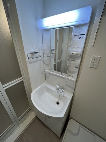 ハーモニーテラス上中里0208号室 洗面