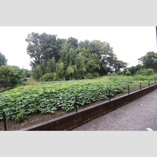 SAKURA Hills　C 眺望