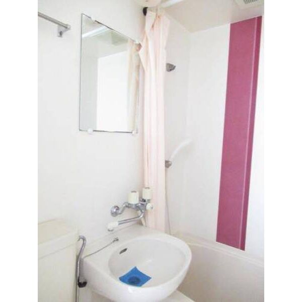 メゾンド萩0106号室 洗面