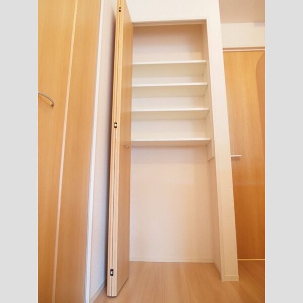 ダイヤモンド ミスト 物入(LDK)