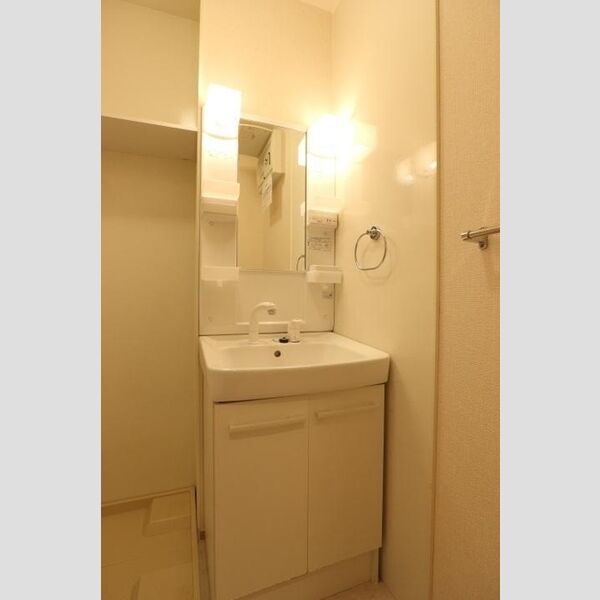 グリーンリーブス 洗髪洗面化粧台