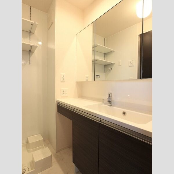 ル　リアン203号室 洗面所