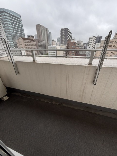 レジディア錦糸町Ⅱ11階 バルコニー