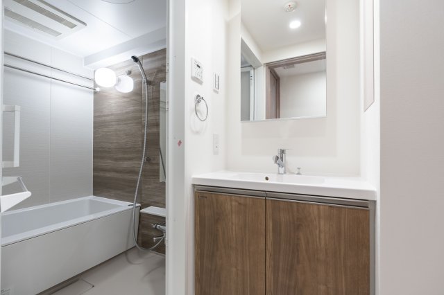 リビオメゾン木場1001号室 洗面