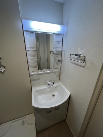 ハーモニーテラス北小岩ⅩⅧ 洗面