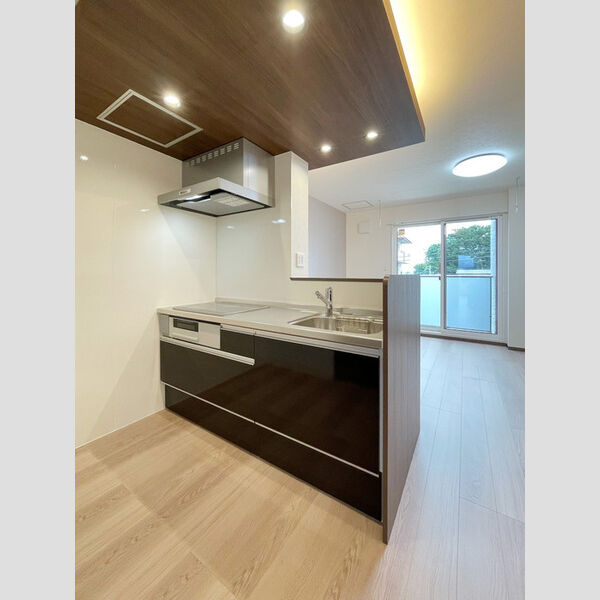 エスペランサ・ルミエール　エスペランサ303号室 システムキッチン