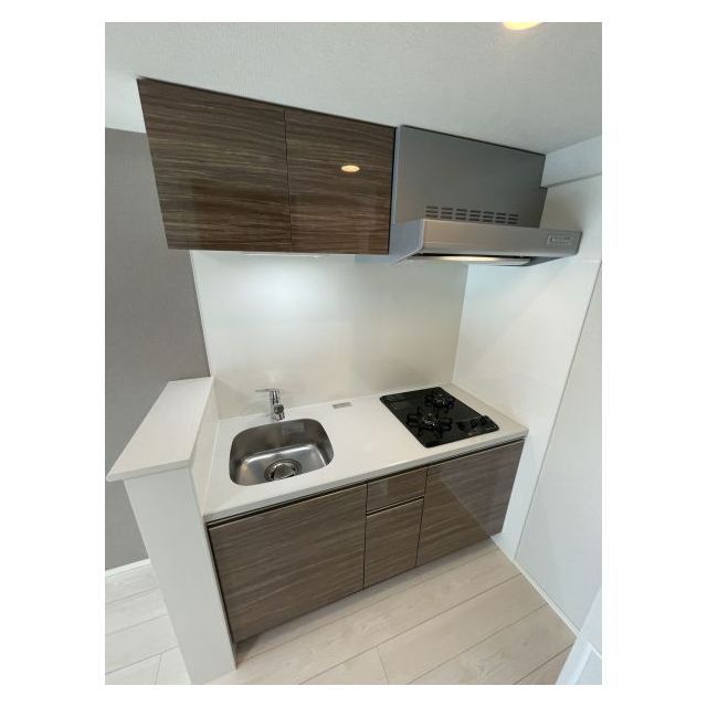 ドゥーエ亀戸Ⅱ1001号室 2口コンロ