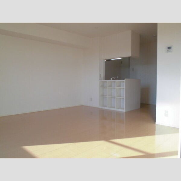 レジデンス三郷　Ⅰ号館101号室 LDK