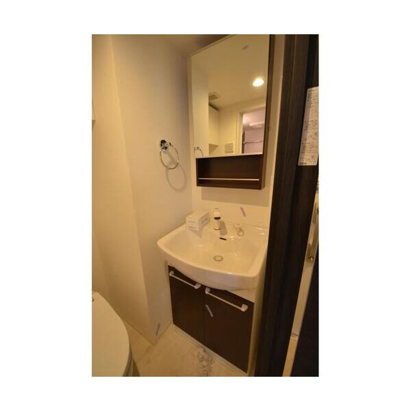 TRYM下石神井302号室 洗面