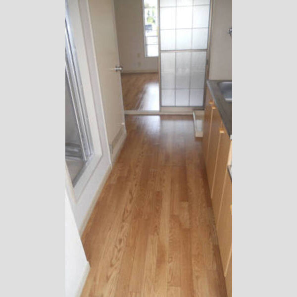 サンファミールSY102号室 玄関廊下