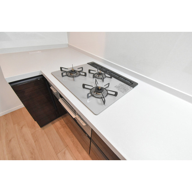 オーパスホームズ白山0402号室 内観